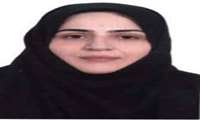 کسب رتبه دانشیاری سرکار خانم دکتر سلیمانی