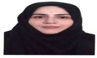 پژوهشگر برتر